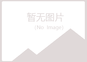 宁夏新波能源有限公司